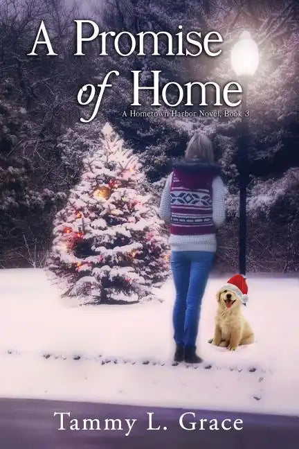A Promise of Home: A Hometown Harbor Novel - Paperback