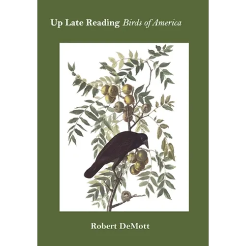 Up Late Reading Birds of America: Prose Poems - Hardcover