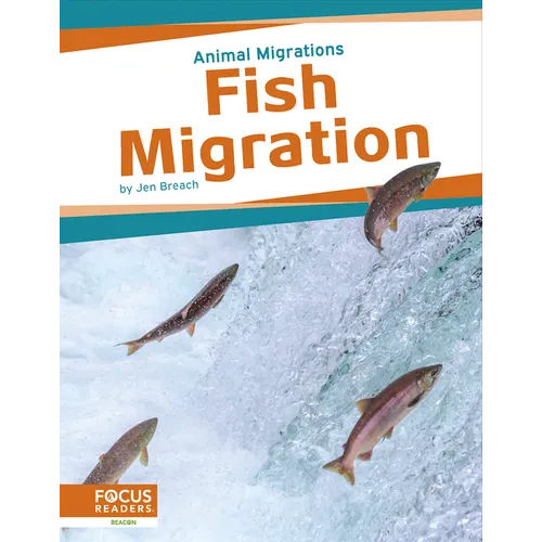 Fish Migration - Paperback