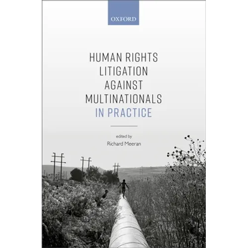 Human Rights Litigation Against Multinationals in Practice - Hardcover