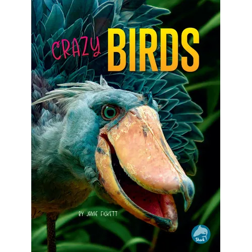 Crazy Birds - Paperback