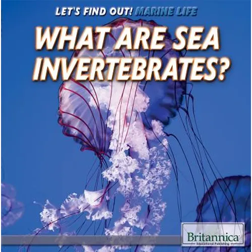 What Are Sea Invertebrates? - Library Binding