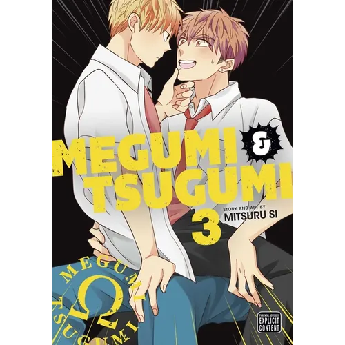 Megumi & Tsugumi, Vol. 3 - Paperback