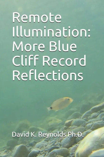 Remote Illumination: More Blue Cliff Record Reflections - Paperback