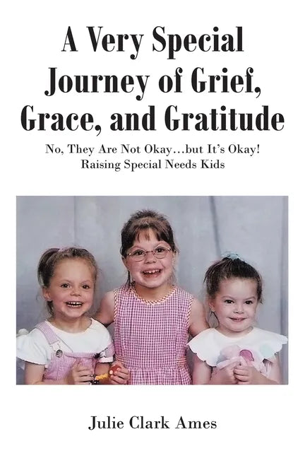 A Very Special Journey of Grief, Grace, and Gratitude: No, They Are Not Okay...but It's Okay! Raising Special Needs Kids - Paperback