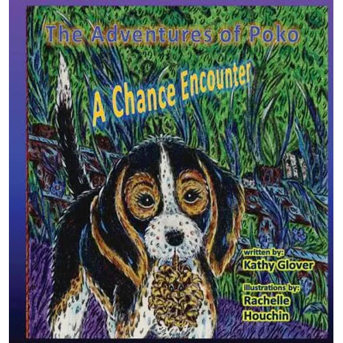 The Adventures of Poko - A Chance Encounter - Paperback