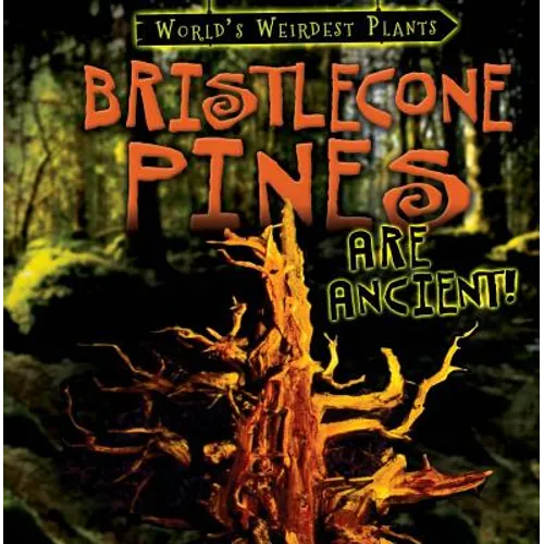 Bristlecone Pines Are Ancient! - Library Binding