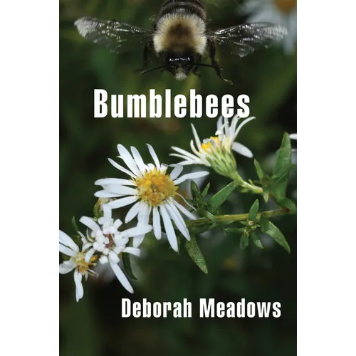 Bumblebees - Paperback