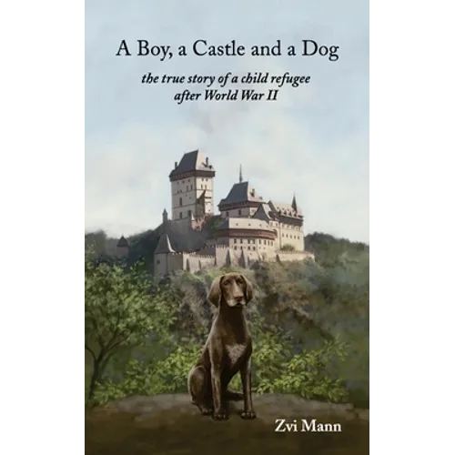 A Boy, A Castle and A Dog - Paperback