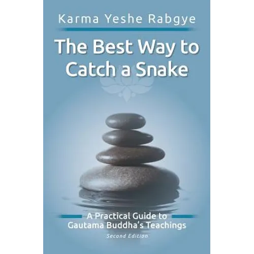 The Best Way to Catch a Snake: A Practical Guide To Gautama Buddha's Teachings - Paperback