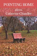 Pointing Home - Paperback