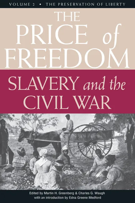 The Price of Freedom: Slavery and the Civil War, Volume 2--The Preservation of Liberty - Paperback