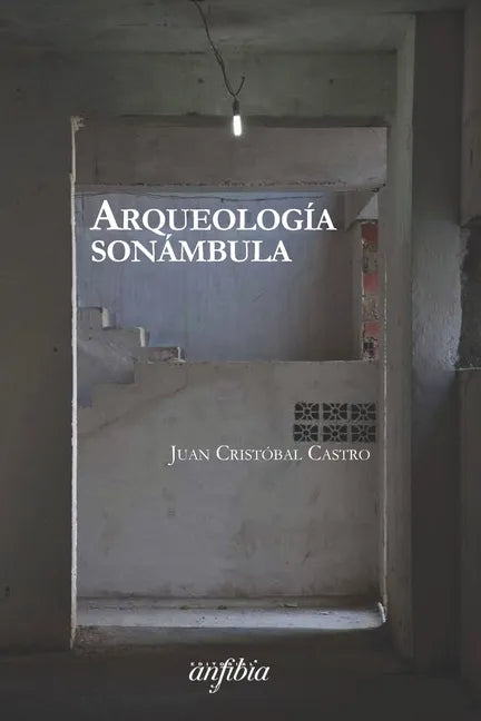 Arqueología sonámbula - Paperback