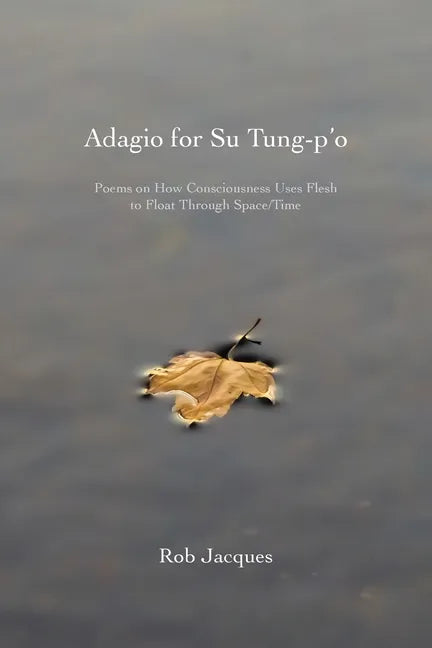 Adagio for Su Tung-p'o: Poems on How Consciousness Uses Flesh to Float Through Space/Time - Paperback