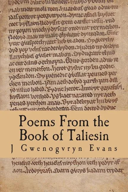 Poems From the Book of Taliesin - Paperback