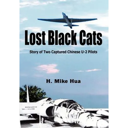 Lost Black Cats - Hardcover