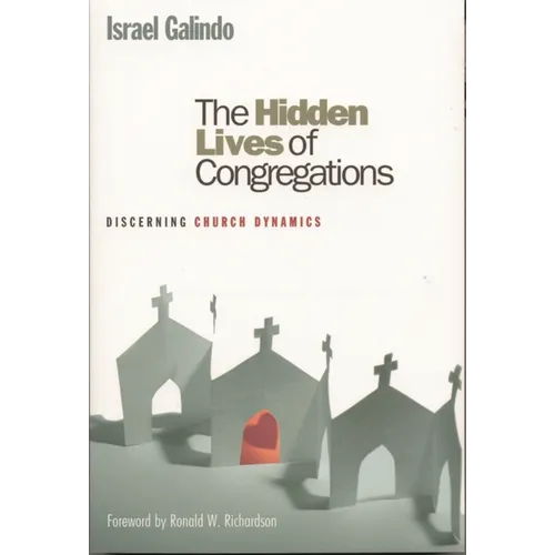 The Hidden Lives of Congregations: Discerning Church Dynamics - Paperback
