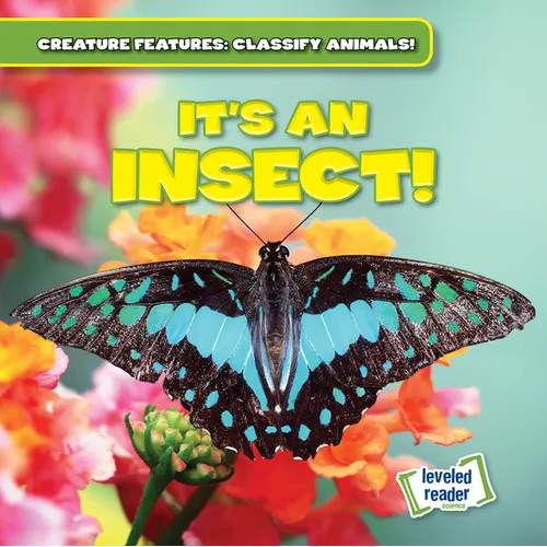 It's an Insect! - Library Binding
