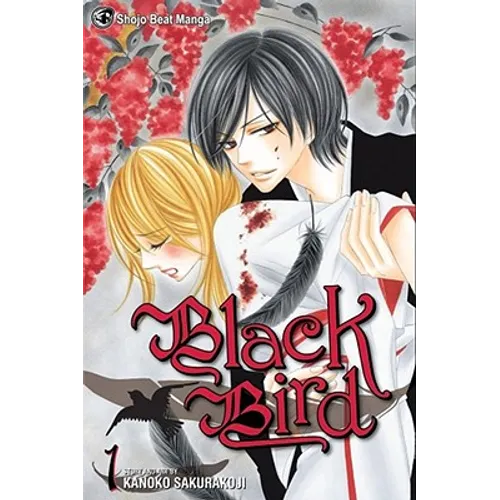 Black Bird, Vol. 1 - Paperback