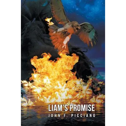 Liam's Promise - Paperback