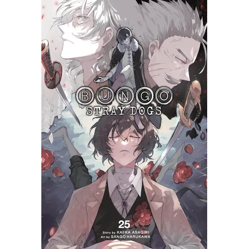 Bungo Stray Dogs, Vol. 25 - Paperback