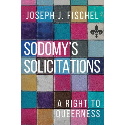 Sodomy's Solicitations: A Right to Queerness - Paperback