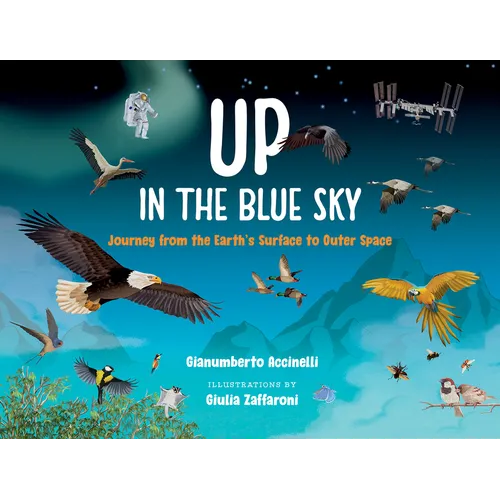 Up in the Blue Sky: Journey from the Earth's Surface to Outer Space - Hardcover