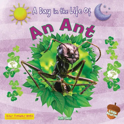 An Ant - Paperback