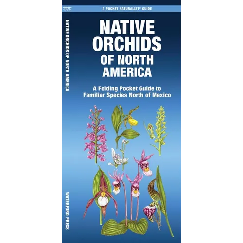 Native Orchids of North America - Paperback