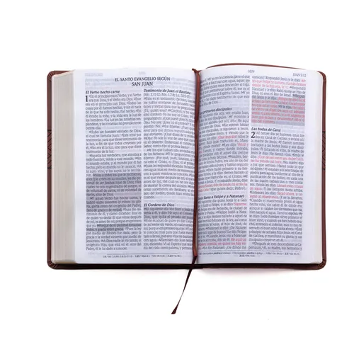Santa Biblia de Promesas Reina Valera 1960 / Letra Gigante - 13 Puntos / Piel Especial Con Índice Y Cierre / Café // Spanish Promise Bible Rvr 1960 / - Imitation Leather