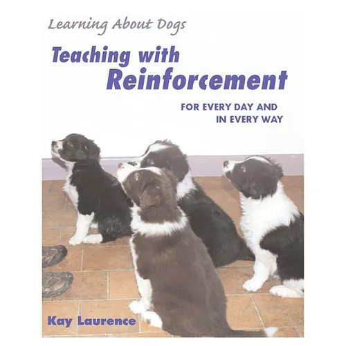 Teaching with Reinforcement: For Every Day and in Every Way - Paperback