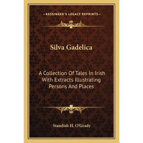 Silva Gadelica: A Collection of Tales in Irish with Extracts Illustrating Persons and Places - Paperback
