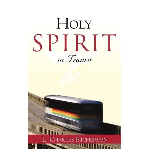Holy Spirit in Transit - Paperback