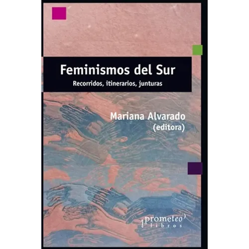 Feminismos del sur: Recorridos, itinerarios, junturas - Paperback