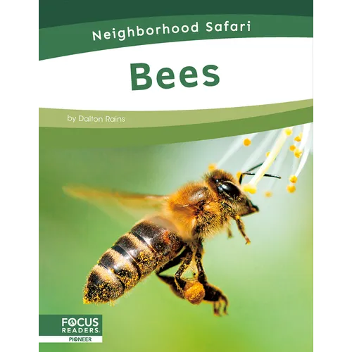 Bees - Library Binding