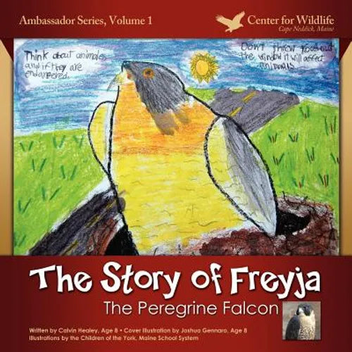 The Story of Freyja: The Peregrine Falcon - Paperback