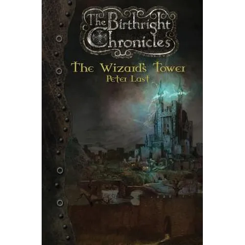 The Wizard's Tower: The Birthright Chronicles - Paperback