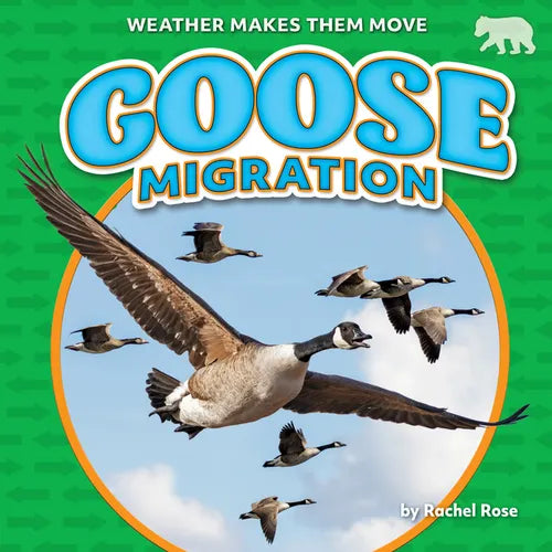 Goose Migration - Library Binding