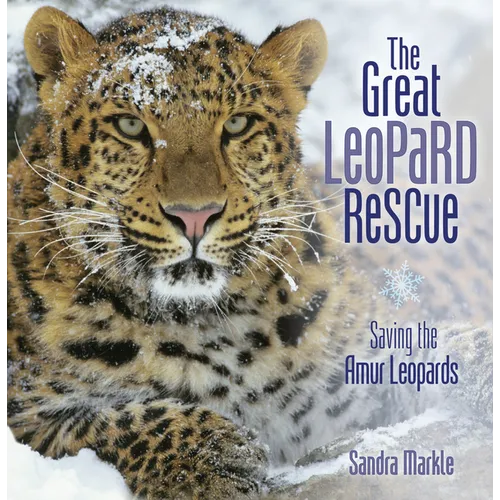 The Great Leopard Rescue: Saving the Amur Leopards - Paperback
