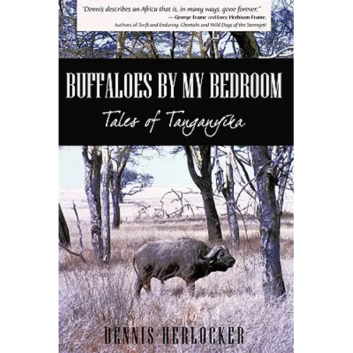 Buffaloes by My Bedroom - Paperback