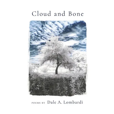 Cloud and Bone - Paperback