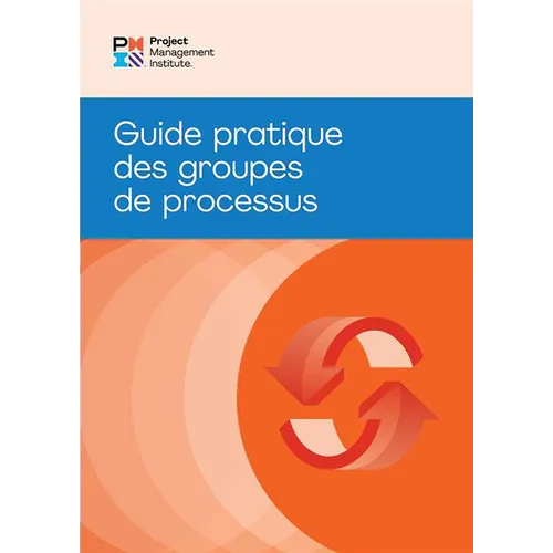 Process Groups: A Practice Guide (French) - Paperback