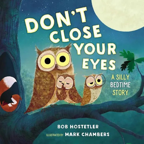 Don't Close Your Eyes: A Silly Bedtime Story - Board Book