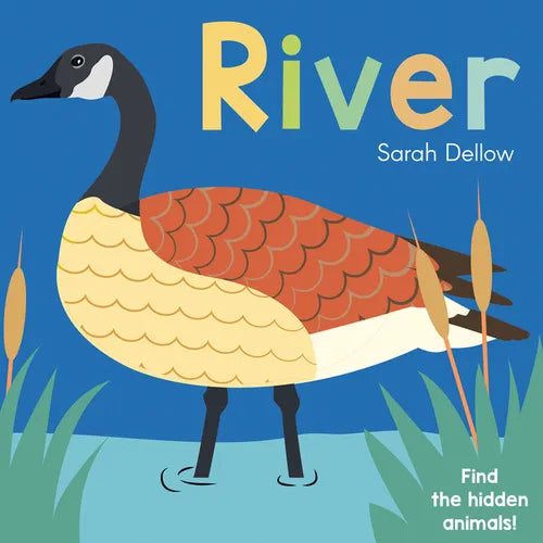 Now You See It! River - Board Book