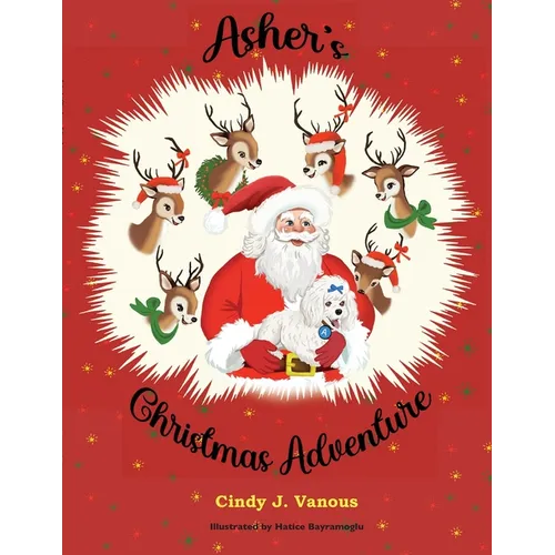 Asher's Christmas Adventure - Paperback
