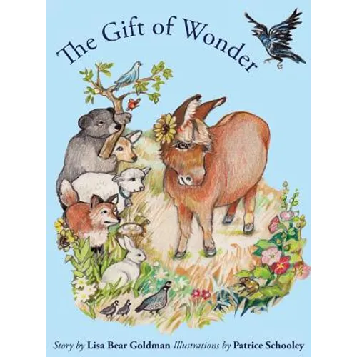 The Gift of Wonder - Hardcover