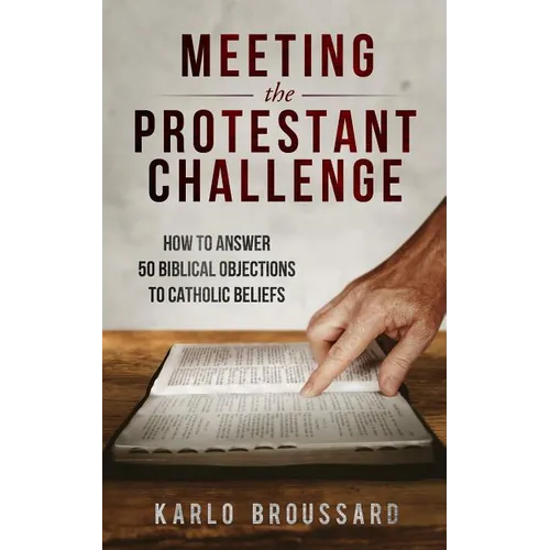 Meeting the Protestant Challenge - Paperback