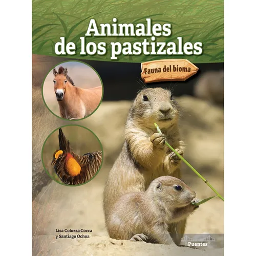 Animales de Los Pastizales: Grassland Animals - Paperback