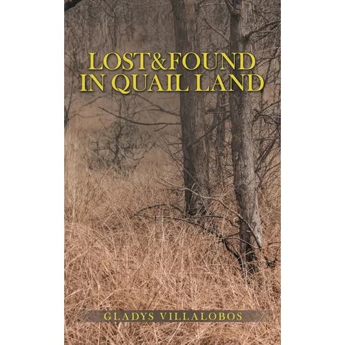 Lost&Found in Quail Land - Hardcover