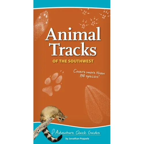 Animal Tracks of the Southwest: Your Way to Easily Identify Animal Tracks - Spiral